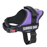 Pet Customizable Harness Vest For Small Medium Large Dog Classic Luxury Walking Dog Harness Adjustable No pull Safe Pet Supplies