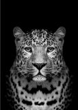 Canvas Painting Animal Wall Art Lion Elephant Hippo Zebra Poster And Modern Minimalist Photo Wall Living Room Bedroom Decoration