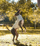 Fashion White Fleece Sleeveless Sweatershirt for Whipbit Spring Warm Jumpsuit for Italian Greyhound Mid Dogs Thick Autumn Vest