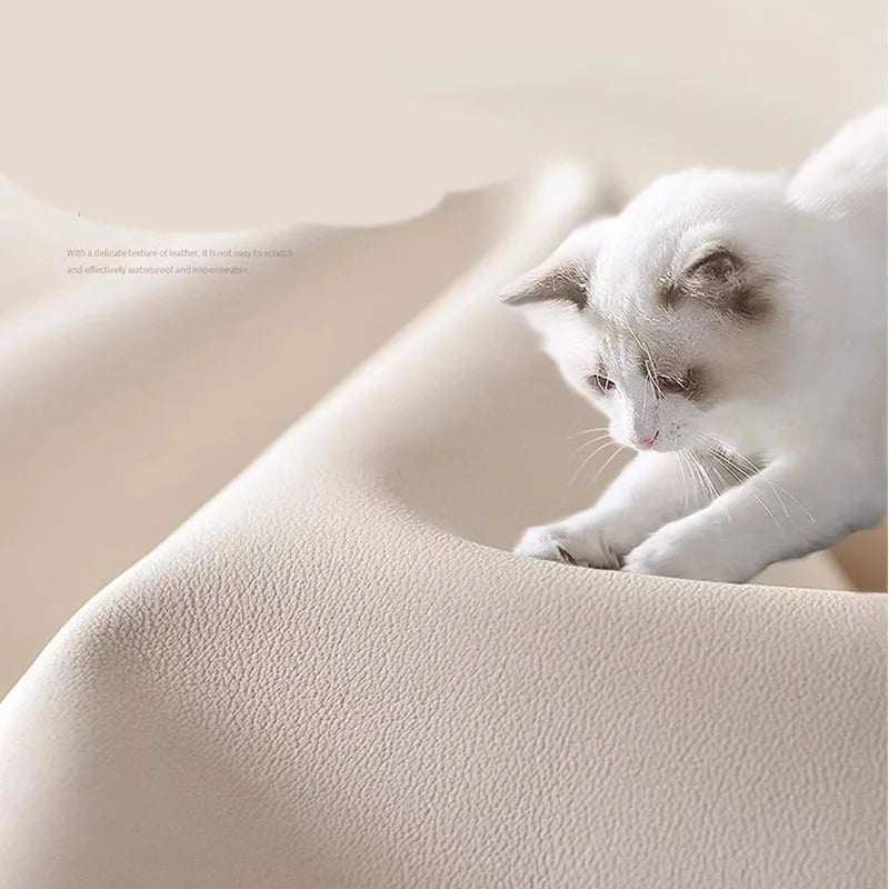 Cafe Chair Design Armchairs for Living Room Chairs for Parties Modern Dining Chairs Luxury Chaise De Bureaux Dalba Furnitures