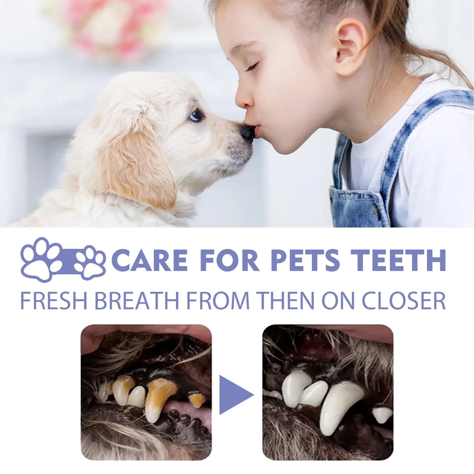 50ml Pet Oral Cleanse Spray Dogs Cats Teeth Clean Deodorant Prevent Calculus Remove Kitten Bad Breath Pet Supplies Freshen Breath