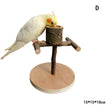 Solid Wood Parrot Stand Training Bird Stand Parrot Toys Desktop Training Stand Pole Interactive Playground Small Pet supplies