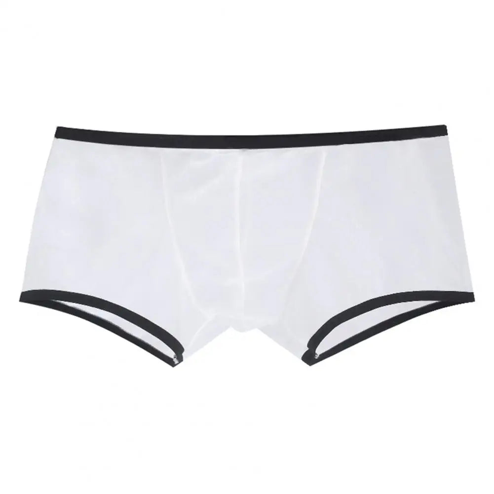 Transparent Boxers for Men See Through Male Underpants Sexy Low Waist Panties Lingerie Intimates