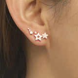 Glamourosos brincos de estrela de strass para mulheres – joias de liga hipoalergênica – uso diário perfeito e presente de casal romântico para