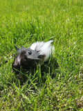 1pc Small Animal Hamster Traction Rope Strap, Hamster Flower Branch Rat Going Out Leash