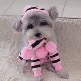 Dog Winter Wear 1 Set(hat+scarf+leg Warmers) Rainbow Stripe Knitted Dog Scarf Winter Warm Hat Footwear Sloves Pet Clothes