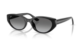 Rayban Original 4457 Classic Sunglasses in Box