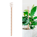 1/2/3PCS Electroculture Plant Stakes Gardening Copper Coil Antennas for Growing Garden Plants and Vegetables Using Ether Energy