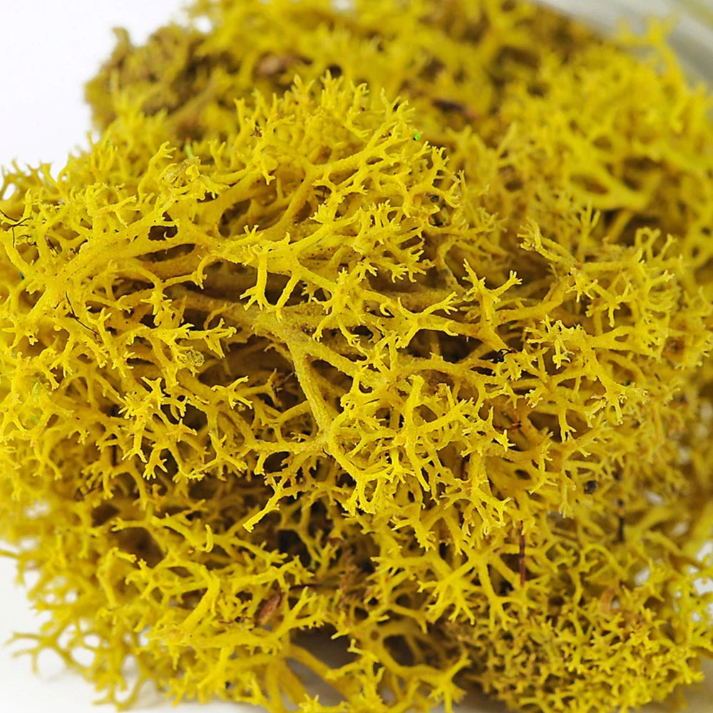 Artificial Green Plants Eternal Life Moss DIY Crafts Grass Garden Home Room Decor Mini Landscape Fake Grass 20/40/100g