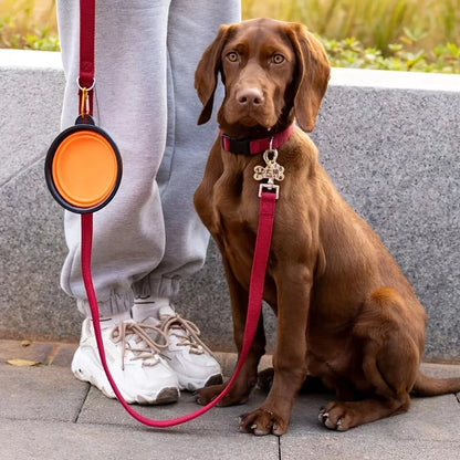 Comedero portátil para mascotas, de TPR duradero, plegable, de silicona, para gatos y perros, para viajes al aire libre, para agua y comida.