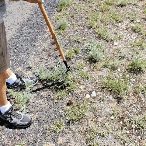 Gardening Tool Iron Weed Puller Tool Claw Weeder Root Remover Outdoor Garden Portable Weed Puller Removable With Foot Pedal