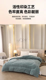 Thick Warm Imitation Lambswool Winter Blanket for Bed, Soft Jacquard Coral Fleece Quilt, Double-Sided Plush Weighted Blanket 5kg