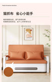 Sofá cama plegable de doble propósito para apartamentos pequeños, muebles de sala de estar de celebridades de Internet, retrato simple y doble multifunción