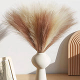 5/10Pcs Pampas Grass Reed Artificial Plant Hot Sale Home Outdoor Garden Wedding Bridal Bouquet DIY Festival Scrapbook Decoration