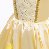 Girls Birthday Party Costumes Kids Belle Dress Up Beauty and The Beast Costume Princess Dress Baby Christmas Halloween Costume