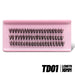 TD01