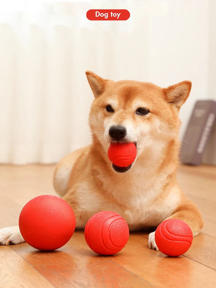 MADDEN S-XL Sizes Solid Rubber Balls Bouncy Ball Bite Resistant Indestructible Dog Training Interactive Ball Pet Toy Molar Ball