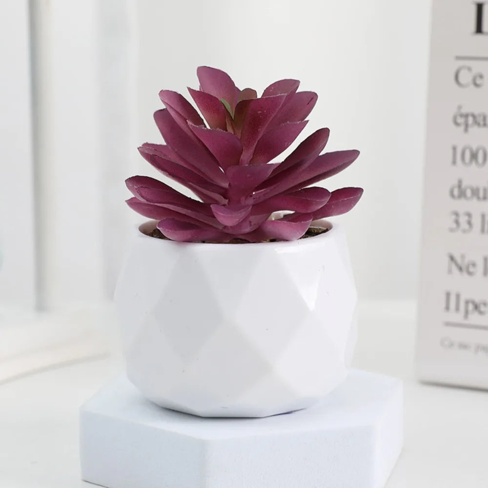 Plantas suculentas artificiales de bonsái, suculentas de simulación, mini bonsái perenne, cactus, suculentas de plástico, plantas falsas para decoración.