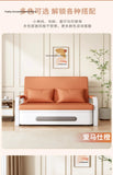 Sofá cama plegable de doble propósito para apartamentos pequeños, muebles de sala de estar de celebridades de Internet, retrato simple y doble multifunción