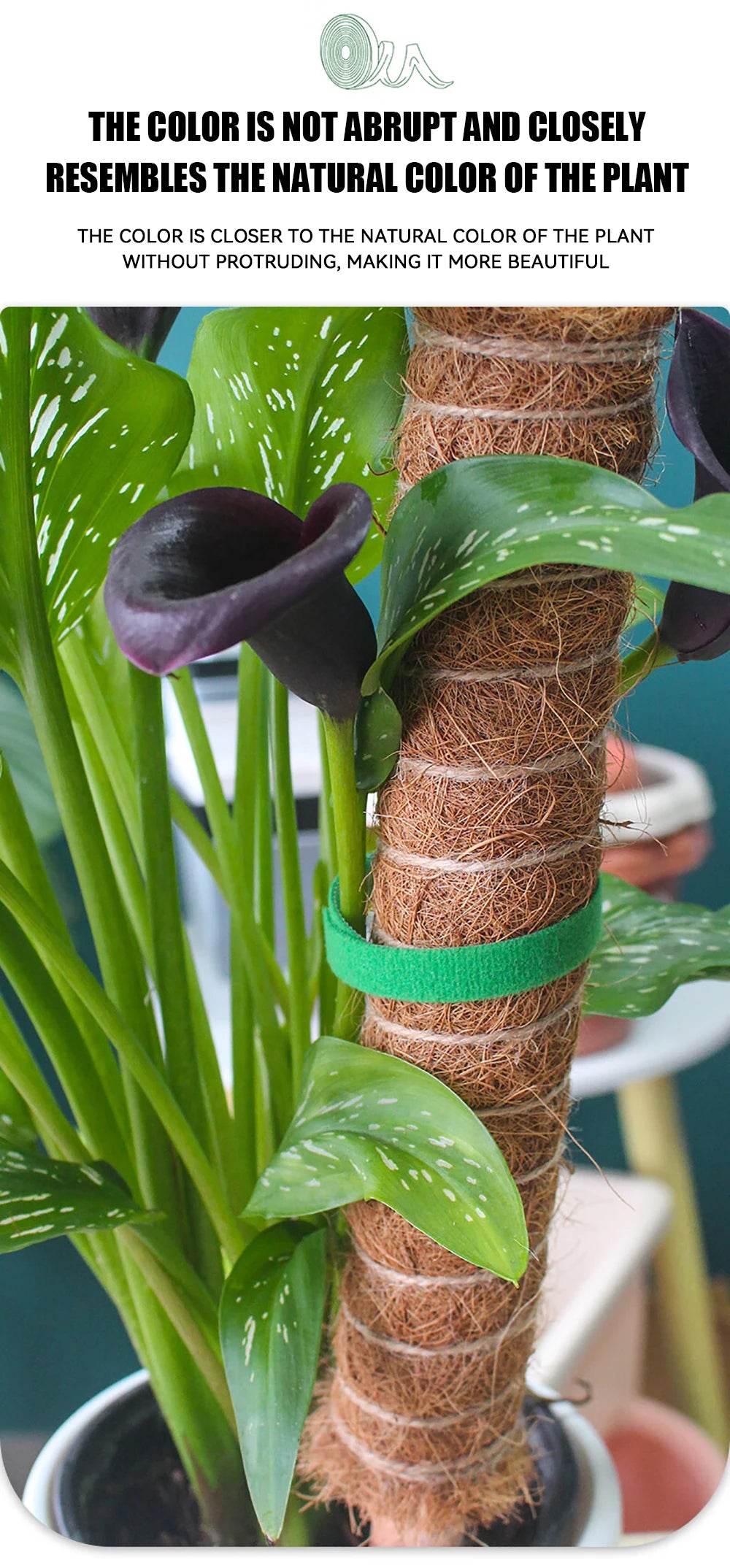 Brida de nailon para jardín, reutilizable, con cierre de velcro, para plantas, flores, trepadoras y en crecimiento.