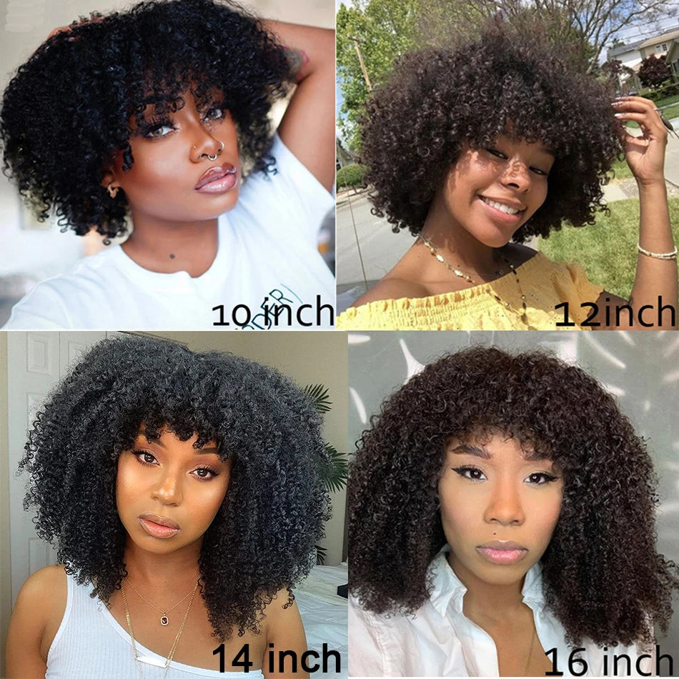 MsSunlight Afro Kinky Curly Wig Human Hair Short Wigs For Women Human Hair 100% Natural 4B 4C Brazilian Hair Wigs Full Machine