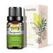 Bergamot