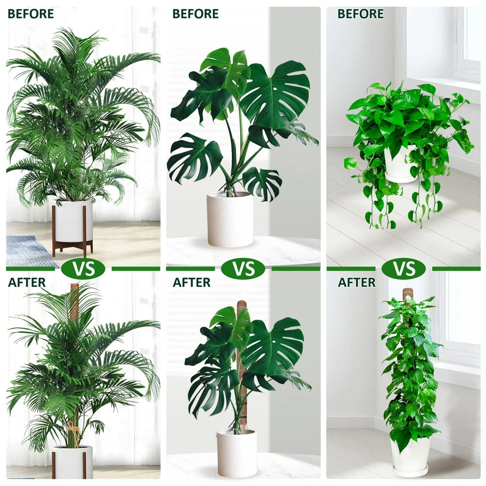 30/40/50cm Moss Pole for Indoor Climbing Plants Creepers to Grow Upwards Plant Support with Garden Ties
