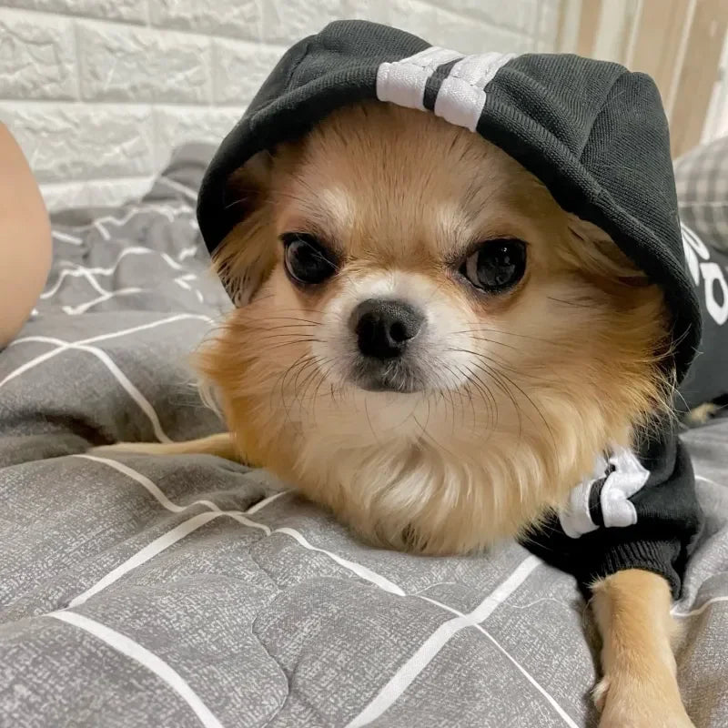 Ropa cálida para perros de otoño e invierno, sudaderas con capucha para perros Adidog, abrigo cálido para mascotas, chaqueta para perros medianos y grandes, suéter, ropa para cachorros de bulldog francés