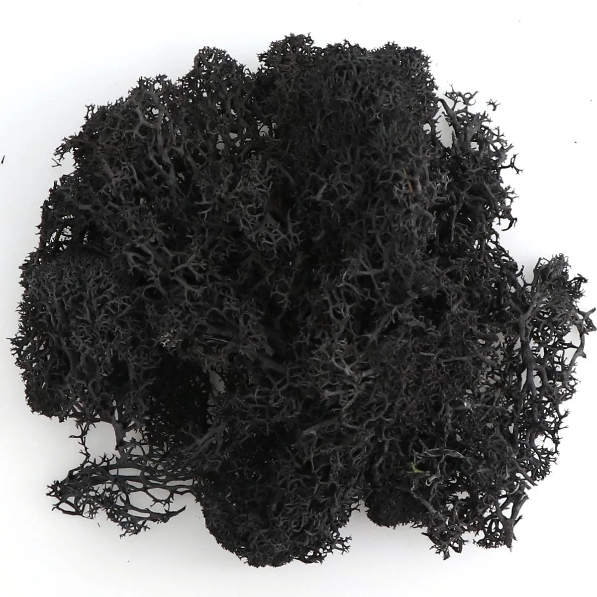 Artificial Green Plants Eternal Life Moss DIY Crafts Grass Garden Home Room Decor Mini Landscape Fake Grass 20/40/100g