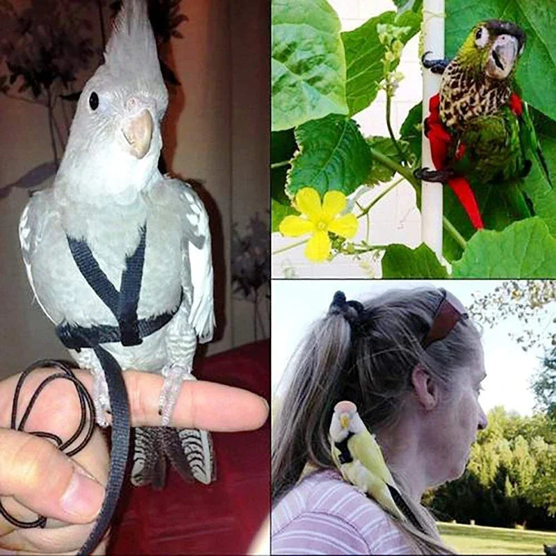 Anti-Bite Parrot Harness Leash Training Rope Bird Flying Leash for Pet Birds Durable Bird Harness Leash for Parrot