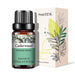 Cedarwood