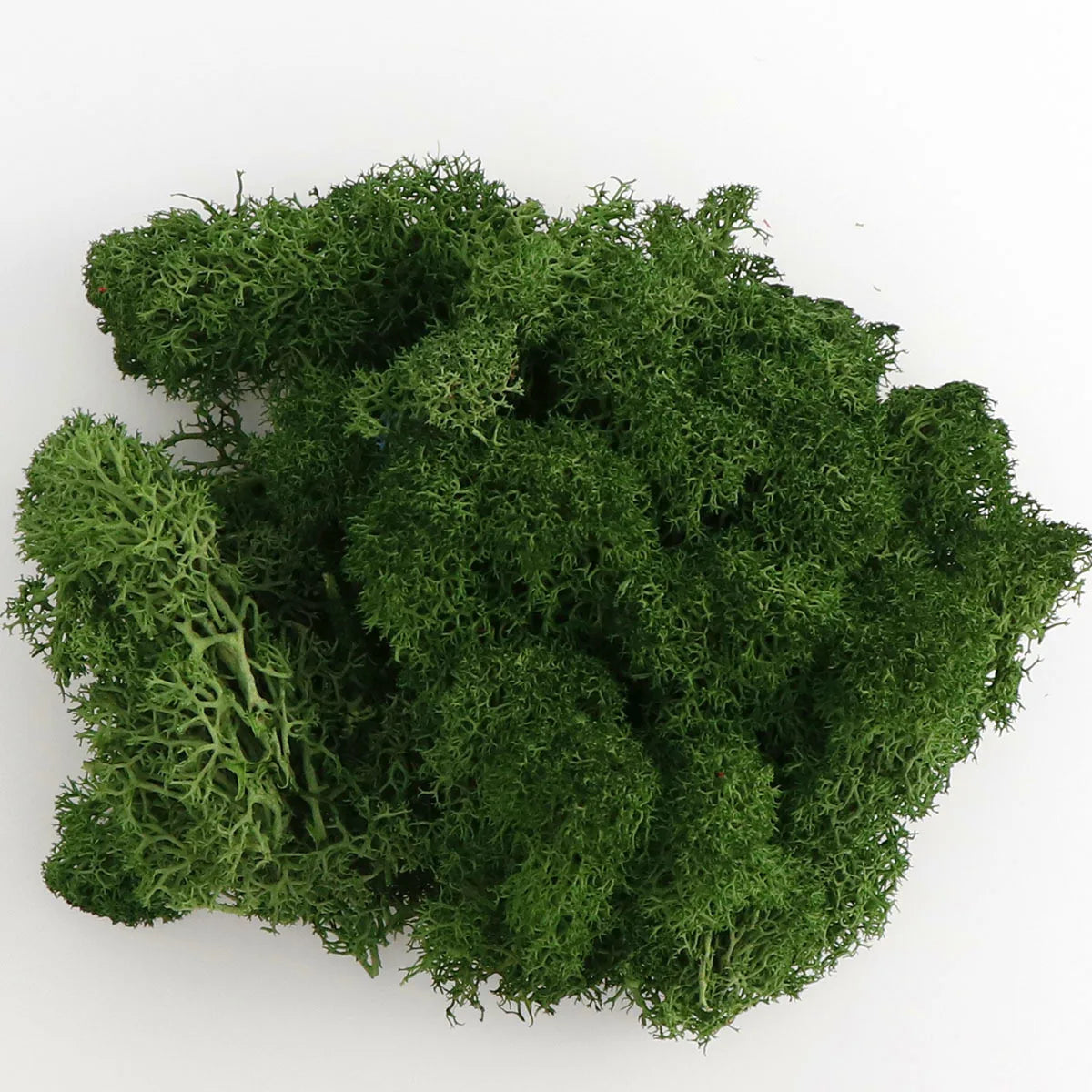 Artificial Green Plants Eternal Life Moss DIY Crafts Grass Garden Home Room Decor Mini Landscape Fake Grass 20/40/100g