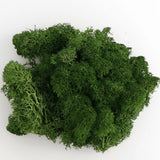 Artificial Green Plants Eternal Life Moss DIY Crafts Grass Garden Home Room Decor Mini Landscape Fake Grass 20/40/100g