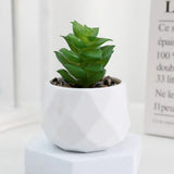 Plantas suculentas artificiales de bonsái, suculentas de simulación, mini bonsái perenne, cactus, suculentas de plástico, plantas falsas para decoración.
