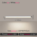 Modern Long Strip Ceiling Light Surface Mounted Minimalist Aisle Lamp Living Room Bedroom Kitchen Home Office LED Lighting