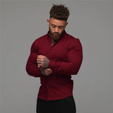 Men's Fitness Micro-bomb Long Sleeve Tee Tops Slim Fit Thin Breathable Muscle T-Shirt Turn Down Collar Business Non-Iron Shirts
