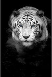 Canvas Painting Animal Wall Art Lion Elephant Hippo Zebra Poster And Modern Minimalist Photo Wall Living Room Bedroom Decoration