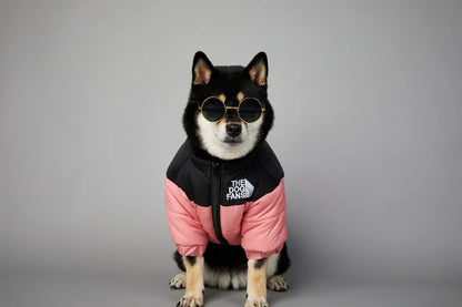 Puppy Coat Dog Down Jacket The Dog Fans Winter Pet Clothes for Small Medium Dogs Warm Thick Dog Vest French Bulldog Dropshipping