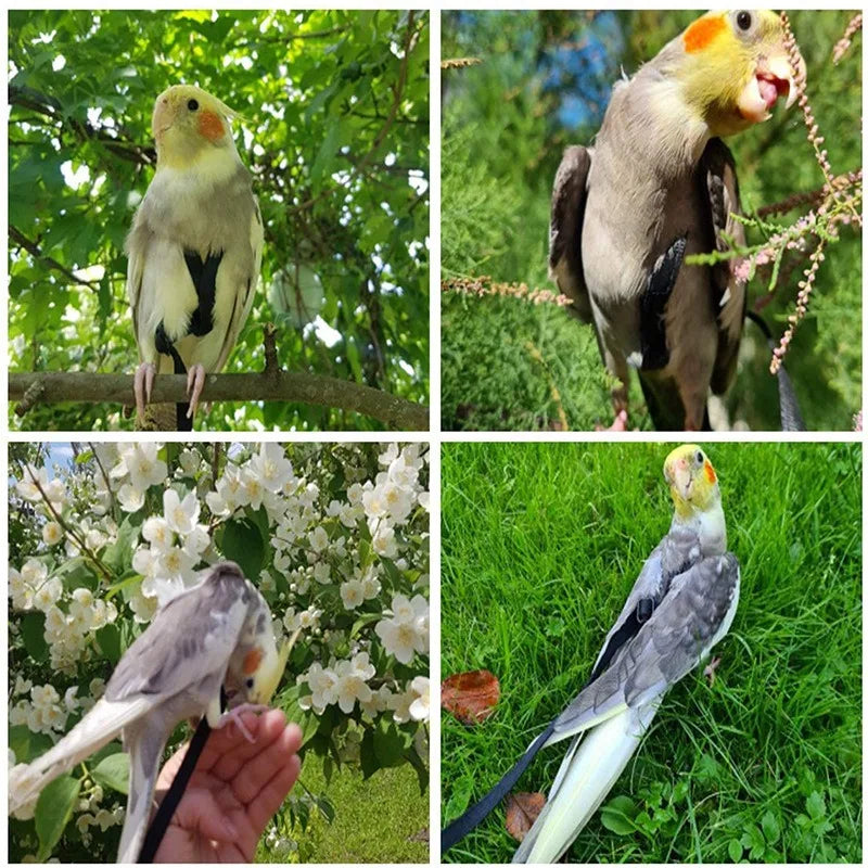Anti-Bite Parrot Harness Leash Training Rope Bird Flying Leash for Pet Birds Durable Bird Harness Leash for Parrot