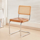 Mid-Century Modern Dining Chairs with Metal Frame, Multiple Styles Leisure chair for Kitchen, Living Room, Office , Muebles
