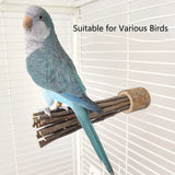Natural Apple Tree Wood Pet Parrot Raw Wood Fork Tree Branch Stand Rack Squirrel Bird Hamster Branch Perches Chew Bite Toys