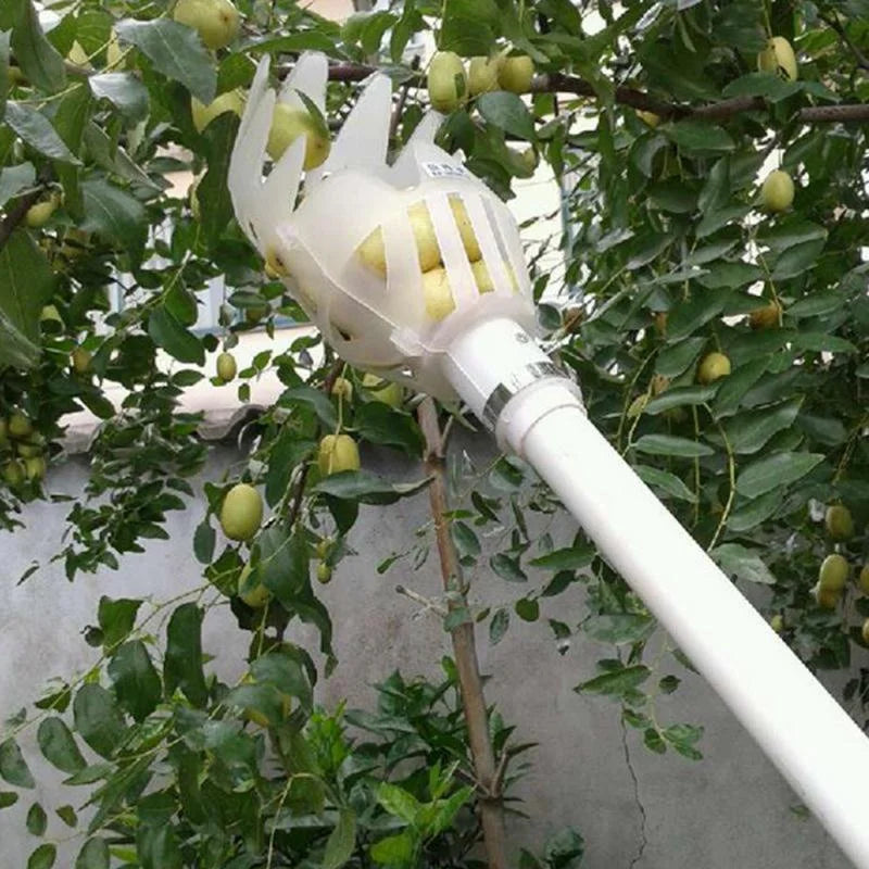 Garden Hand Tools Fruit Picker Multi-color Plastic Fruit Picking Tool Catcher Agrarische Bayberry Jujube Picking Levert