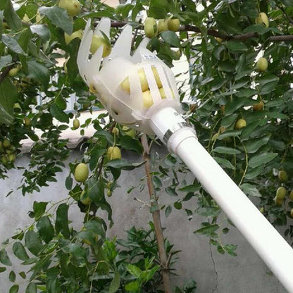 Garden Hand Tools Fruit Picker Multi-color Plastic Fruit Picking Tool Catcher Agrarische Bayberry Jujube Picking Levert