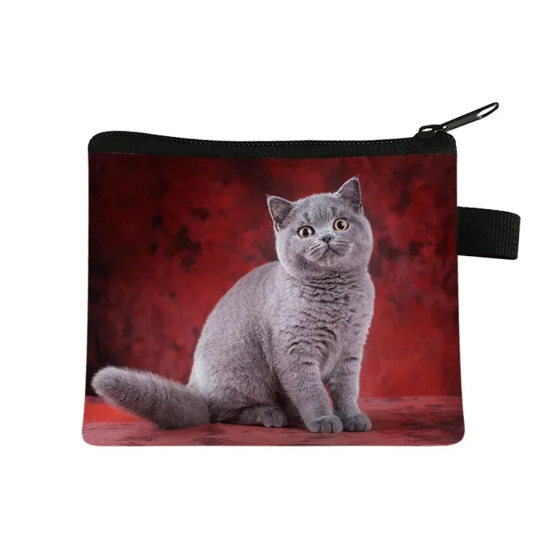 Coin Purse New Animal Cat Children's Wallet Student Portable Card Coin Key Storage Bag Polyester Hand Bag Mini Bag