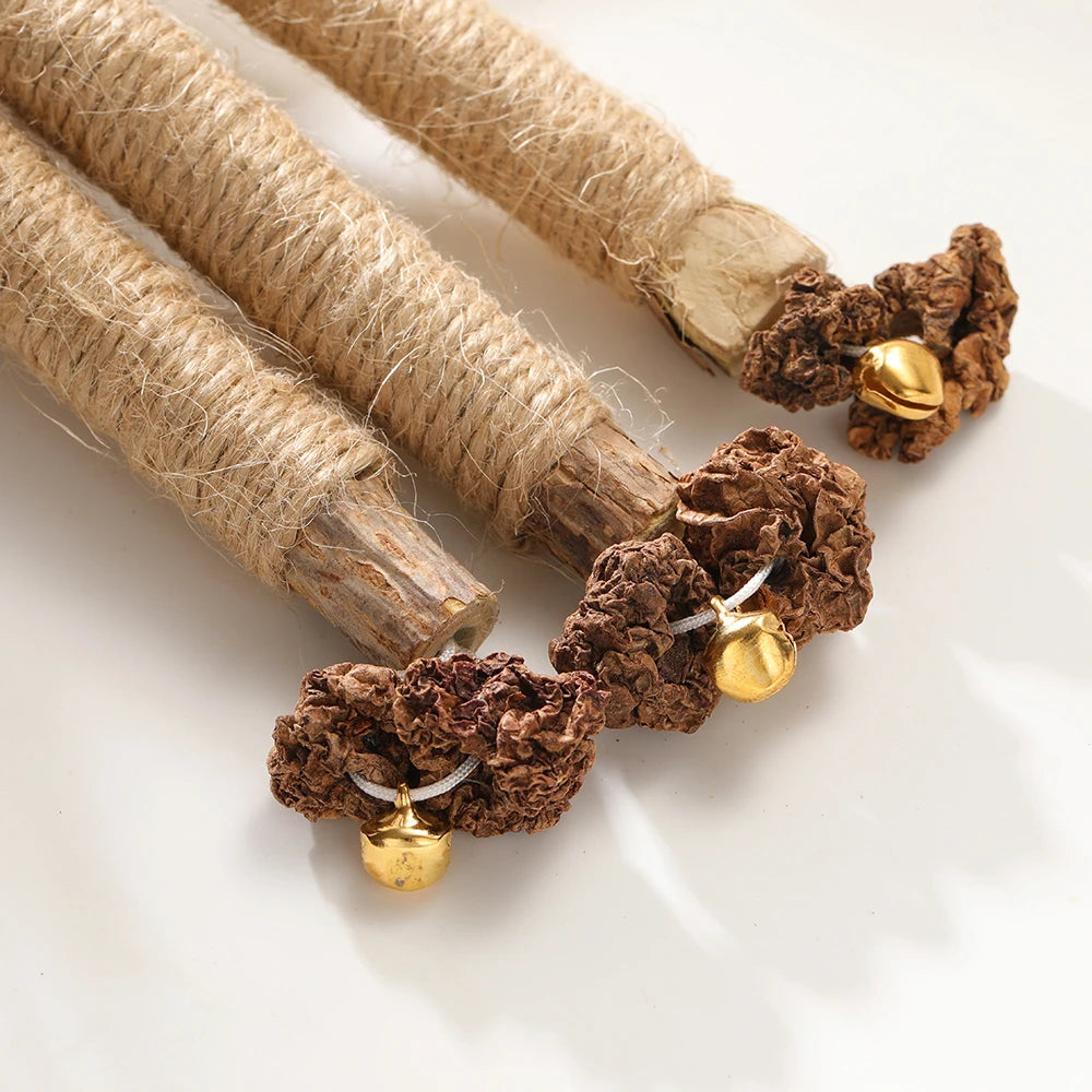 Natural Matatabi Pet Cat Snacks Sticks Cleaning Tooth Catnip Cat Toys Actinidia Silvervine Pet Toy For Cats Accessories