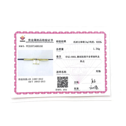CANNER 925 Sterling Silver French Punk Hip-Hop Geometric Small Hoop Earrings for Women Gold Silver Party Jewelry Accessories