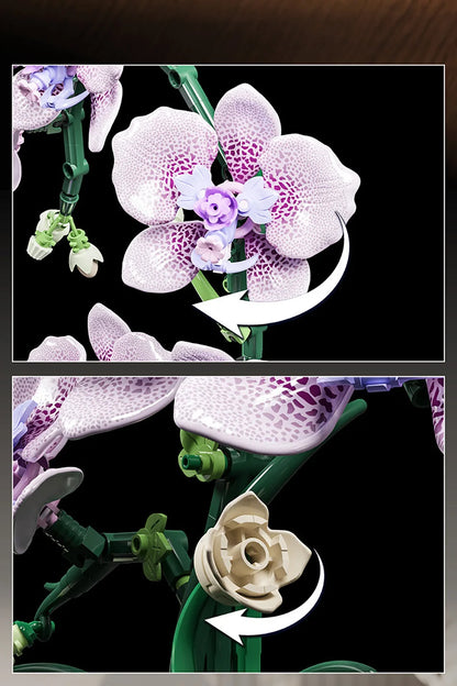 Creative Orchid Cymbidium Eternal Flowers Potted Plant Building Blocks Simulation Phalaenopsis DIY Bricks Toys Valentine's Gift