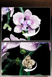 Creative Orchid Cymbidium Eternal Flowers Potted Plant Building Blocks Simulation Phalaenopsis DIY Bricks Toys Valentine's Gift