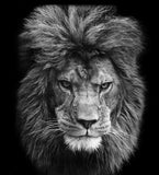 Canvas Painting Animal Wall Art Lion Elephant Hippo Zebra Poster And Modern Minimalist Photo Wall Living Room Bedroom Decoration