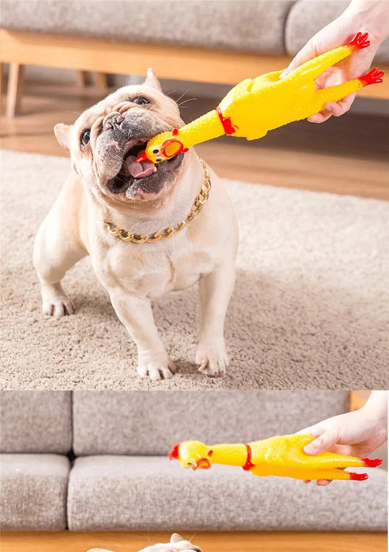 Screaming Chicken Dog Toy Squeeze Squeaky Dog Toys Interactive Puppy Toys Cleaning Teeth Chew Toys for Dogs Pet Supplies 1pcs